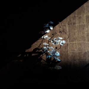 Moonlight Shadow 2011(越南DjDungrau Rmx)-女ElectroHouse